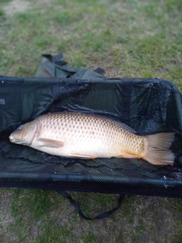 434823172_967722938300020_2436303643071085203_n